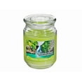 thumbnail image 1 of 18 Oz Parfumée Pot Avec Couvercle En Verre (Getaway Tropical) - Set of 2, 1 of 1