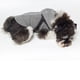 thumbnail image 5 of Chaqueta Impermeable Greeniant para Perro Ropa para Mascotas Gris S, 5 of 6
