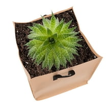 GOOHOCHY Plant Growth Bag Square Planting Bag Thickened Felt Non-Woven Vegetable Growing Bag for (16 Gallon Thin 1.0 Camel Square 40x40x40)