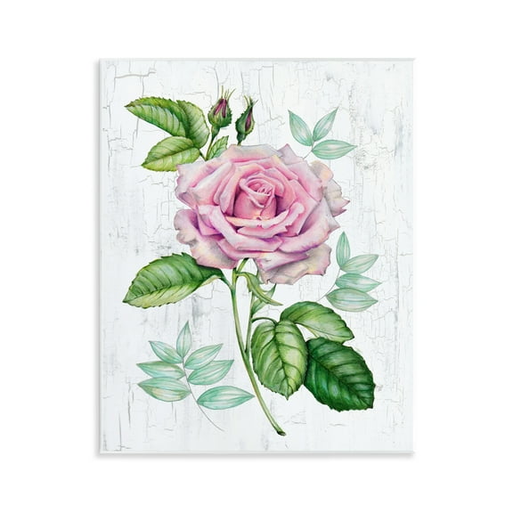 Stupell Industries English Manor Rose Botanical & Floral Painting Unframed Art Print Wall Art, 11 x 14