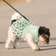thumbnail image 5 of 2 piezas de vestido para perros pequeños con anillo de correa, vestido para cachorros, faldas para mascotas, faldas para perros, ropa de verano, ropa, anillo con correa, falda para cachorros, vestido, 5 of 6
