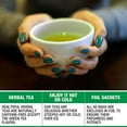thumbnail image 3 of Tipson Organic Moringa Tea - 6 Assorted Flavors - 60 Foil Enveloped Double Chambered Bags - Antioxidant Superfood - Caffeine Free - NonGMO - Gluten Free, 3 of 7