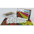 thumbnail image 2 of Tulip Field - Netherlands 1000-Piece Puzzle, 2 of 3