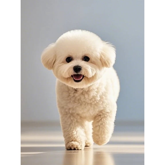 Bichon Frise Diamond Painting DIY Kits 5D Diamond Art Full Round Drill Crystal by Number Stitch Handmade Arts and Crafts for Living Room Home Wall Decor 12x16 inch / 30x40cm