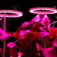 thumbnail image 4 of LED Plant Grow Light  Illumination Timing Dimming Prevent Leggy Growth Comfortable Light For Indoor Plant Growing, 4 of 8