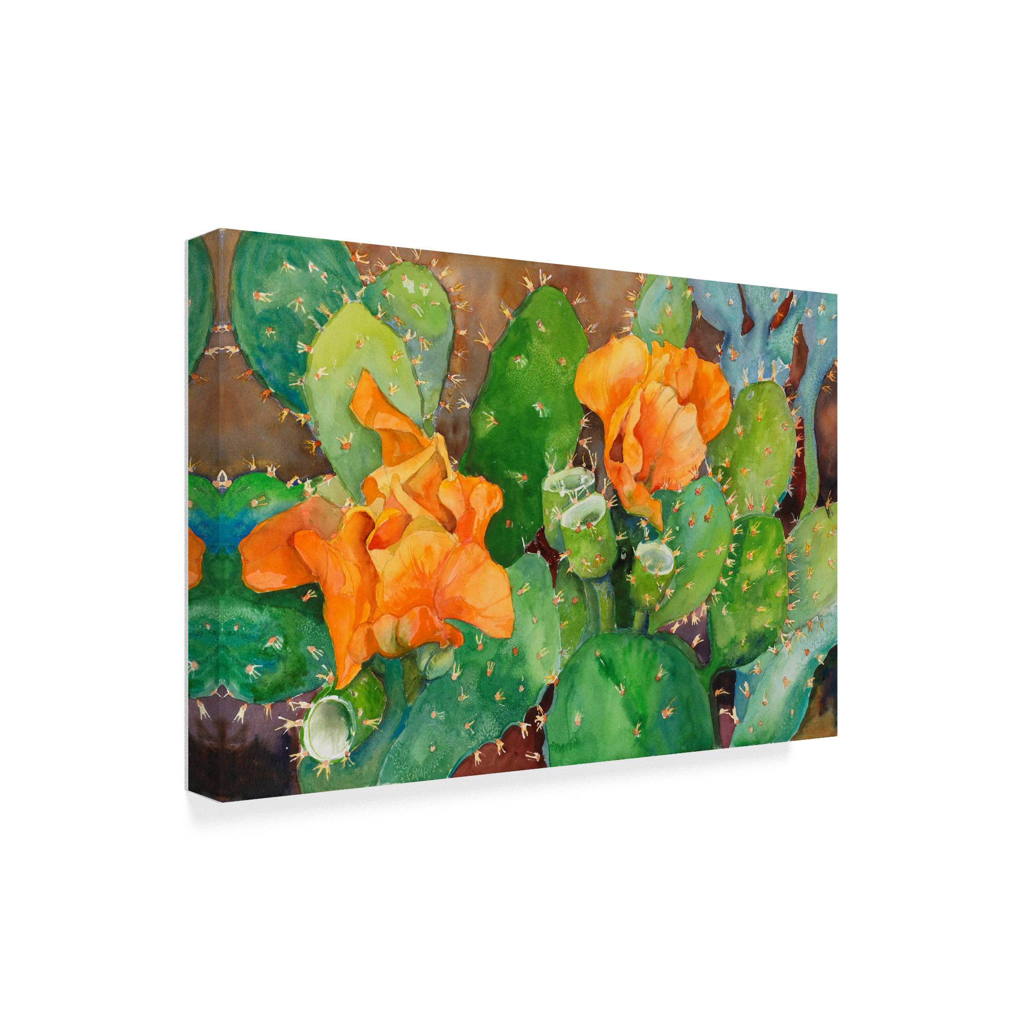 Trademark Fine Art 'Blossoming Cactus' Canvas Art by Joanne Porter