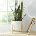 thumbnail image 5 of Better Homes & Gardens 12"D x 8.9"H Ceramic & Wood Planter & Stand Set, White, 5 of 10