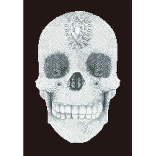 Skull Diamond Art Kit by Make Market®