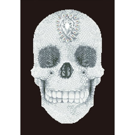 UPC: 4897073249285 | DIAMOND DOTZ® Crystal Skull Diamond Painting Kit