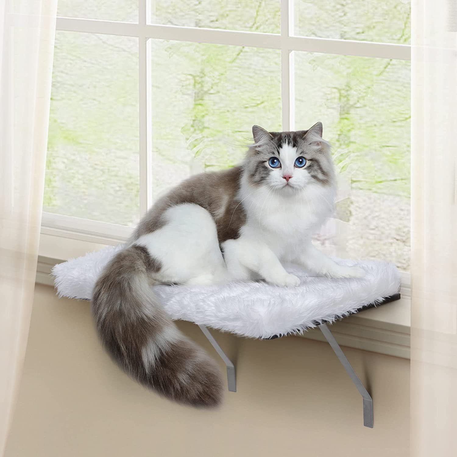 Coziwow Cat Perch Cat Hammock Window Seat, Padded Cat Wall Bed for Sunbathing, Napping Climbing, Max 44lbs, White