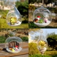 thumbnail image 3 of Maceta de vidrio carnosa, planta carnosa, botella de vidrio, jarrón carnoso transparente, botella colgante creativa, botella colgante, botella de micro paisaje, 3 of 6