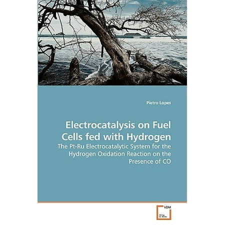 Electrocatalysis on Fuel Cells Fed with Hydrogen