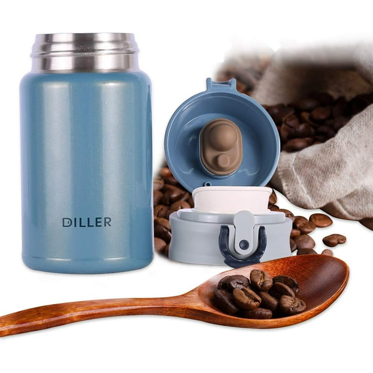 Diller Thermal Water Bottle - 10 oz Mini Insulated Stainless Steel Bottle, Leakproof Cute Vacuum Flask, Perfect for Purse or Kids Lunch Bag, 12