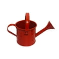thumbnail image 1 of stanreset Outdoor Metal Watering Can Kids Mini Watering Bottle With Handle Mini Garden E, 1 of 4
