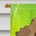 thumbnail image 3 of Carolines Treasures BB2000CHF Chocolat Brun Caniche St. Patricks Jour Toile Maison Drapeau, 3 of 4
