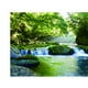 thumbnail image 3 of Póster de paisaje de pecera, imagen de fondo de pared de pecera - Bosque 079 76 * 46cm, 3 of 9