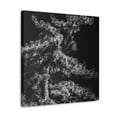 thumbnail image 2 of Pines in Splendor - Canvas, 2 of 10