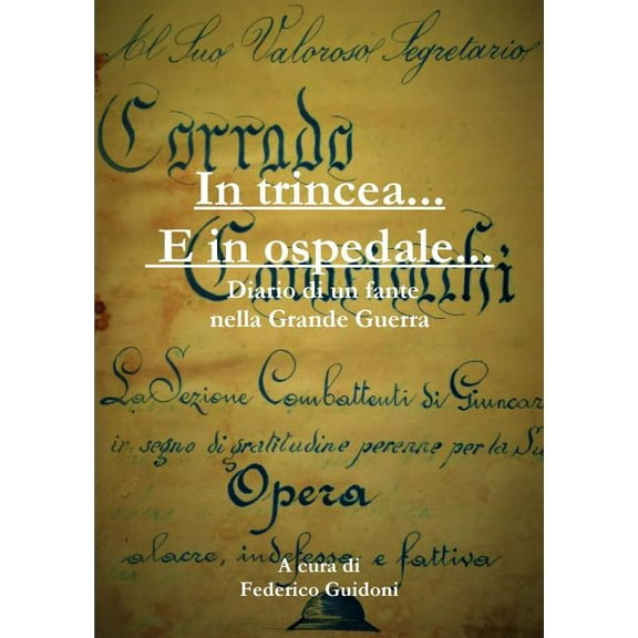In trincea e in ospedale - Diario di un fante nella Grande Guerra, (Paperback)