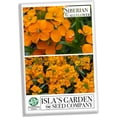thumbnail image 6 of Siberian Wallflower, 400 Flower Seeds, Non-GMO, Isla's Garden Seeds, 6 of 7