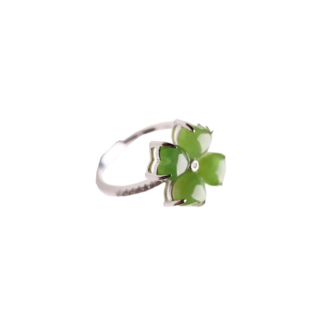 Guardurnaity Anillo de niña Apertura personalizada Anillos ajustables Decoración Joyería delicada Accesorio de vestir para fiesta de boda Ropa, zapatos y accesorios Miscelánea Guardurnaity AP016502-01