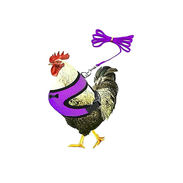 Agiferg Chicken Rope With Leash Elastic Comfortable Breathable Pet Rope