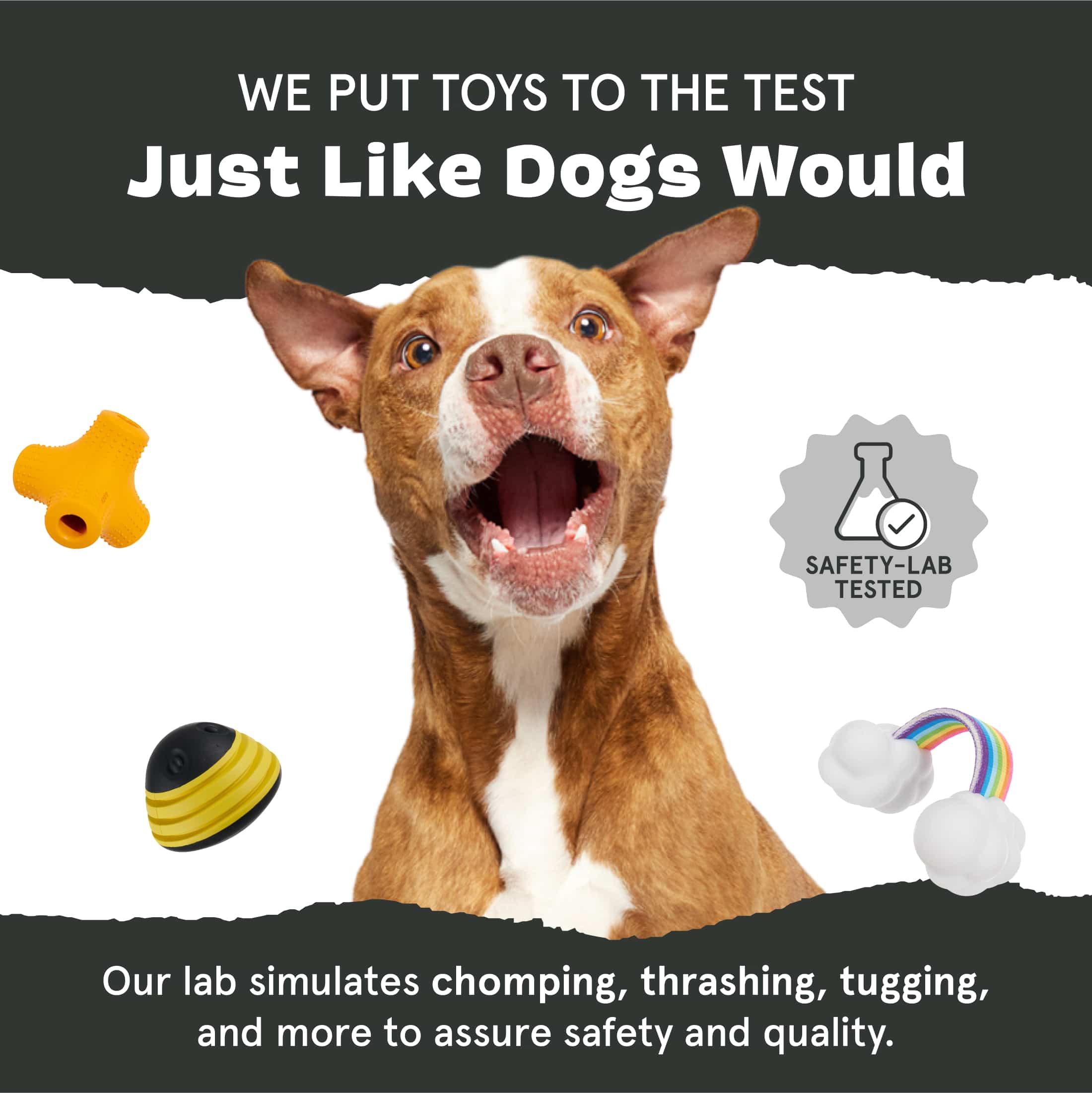 BARK Cup Kate Durable Plush Dog Toy for Active Pups