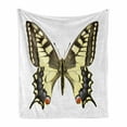 thumbnail image 1 of Swallowtail Butterfly Soft Flannel Fleece Blanket, Yellow Papilio Machaon Old World Swallowtail Wildlife Biology, Cozy Plush for Indoor and Outdoor Use, 70" x 90", Yellow Brown Black, by Ambesonne, 1 of 6