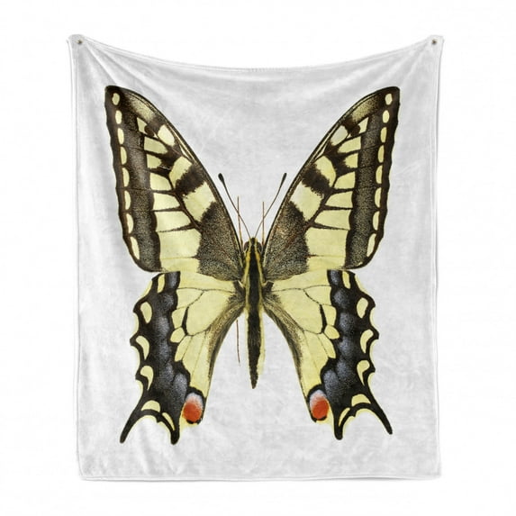 Swallowtail Butterfly Soft Flannel Fleece Blanket, Yellow Papilio Machaon Old World Swallowtail Wildlife Biology, Cozy Plush for Indoor and Outdoor Use, 50" x 70", Yellow Brown Black, by Ambesonne