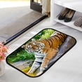 thumbnail image 2 of Floor Door Mats Bath Rugs Siberian Tiger , Entry Rug Non-Slip Washable Indoor Door Mat, Small Oriental Accent Throw Rug for Bedroom Kitchen Entryway Bathroom 31x20in Carpet Runner, 2 of 7