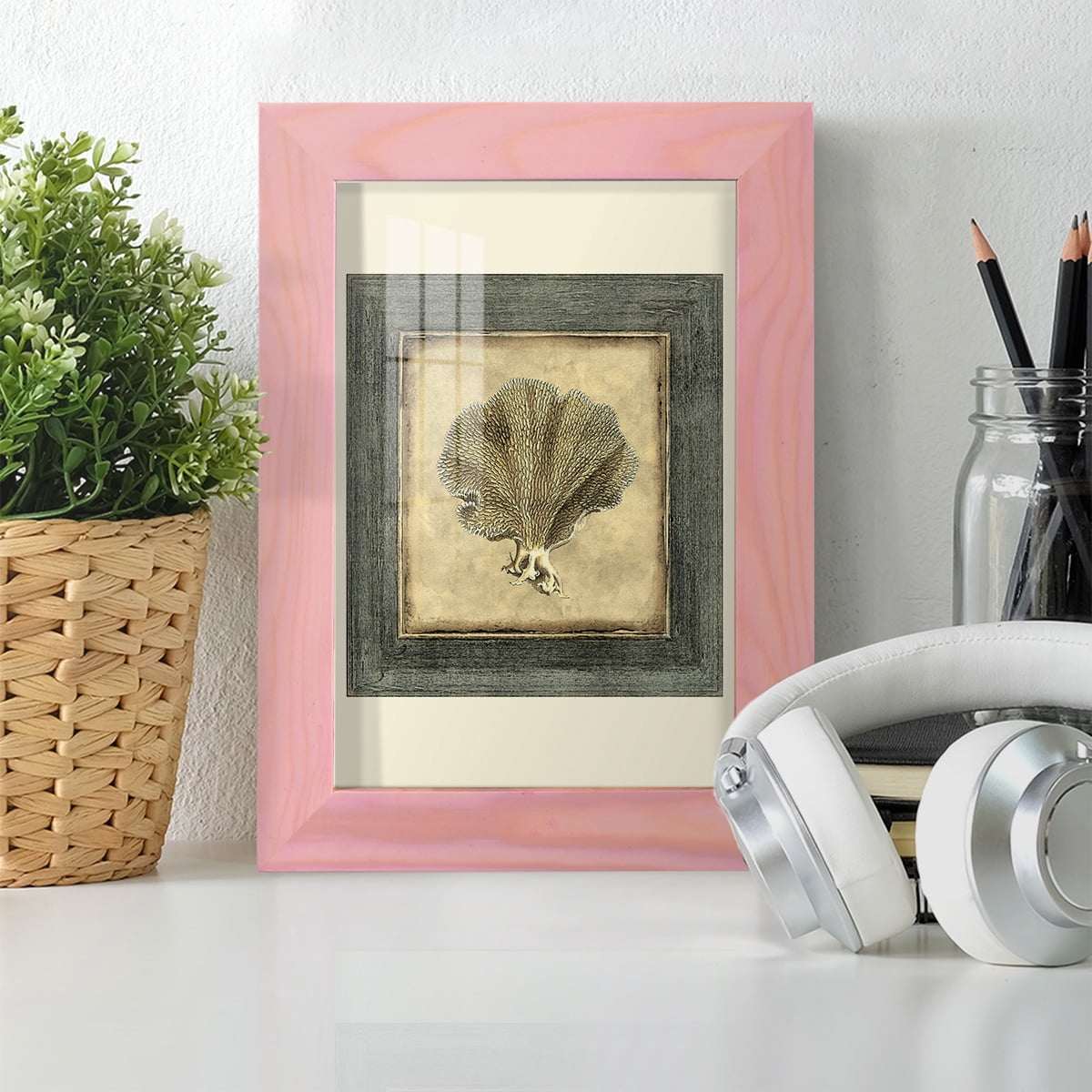 Mini Exotic Coral VI (U) - Framed Print w/glass - Sunset Pink