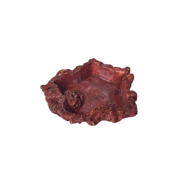 Methold Cuenco de resina para comida de reptil, repuesto lavable, reutilizable, antideslizante, suave, Universal, accesorios para alimentación Alimentadores automáticos de peces Tipo 1
