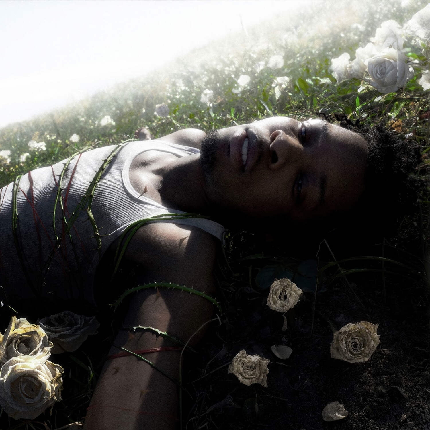 D4VD - Withered - Music & Performance - Vinyl - Walmart.com