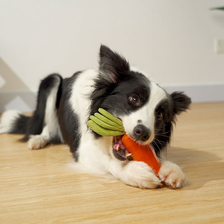 Promote Healthy Chewing Habits with Vegetable Shape Sound Dog Toy Chew