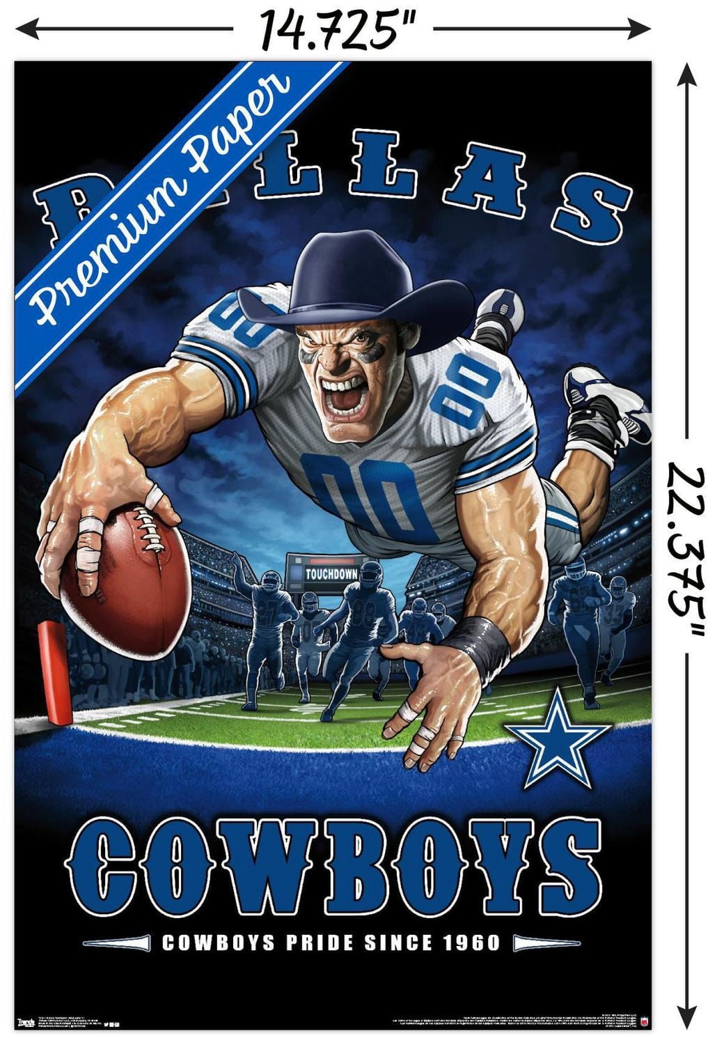 NFL Dallas Cowboys - End Zone 17 Wall Poster, 22.375" x 34"