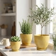 thumbnail image 3 of Flora Bunda CT2038E3-MUSTARD 10',8',6.75' GL MUSTARD Hiero Ceramic Pot on Saucer Set of 3, 3 of 5