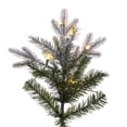 thumbnail image 2 of Vickerman 10' x 54" Frosted Douglas Fir Artificial Pre-Lit Christmas Tree, Warm White LED Mini Lights., 2 of 5