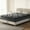 SE004 Spine Support, variant on Behost 10 Inch Queen Mattress in a Box, CertiPUR-US Memory Foam & Pocket Spings Medium Firm Hybrid Bed Mattress for Sleep