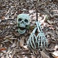 thumbnail image 4 of Halloween Décoration de Squelette Tête de Squelette Réaliste Effrayante Main de Squelette, 4 of 5