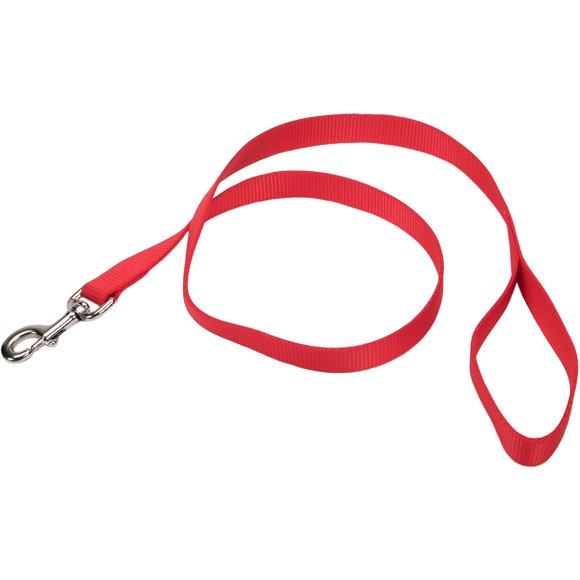 1" Single-Ply Nylon 6' Training Dog Leash-Red