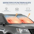 thumbnail image 4 of Gaeub The Sunset of Dandelion Foldable Auto Sun Blocker Visor, Sunshade for Car Front Window, Keeps Your Vehicle Cool - Small, 4 of 7