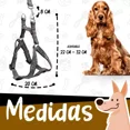 thumbnail image 4 of Set Arnés Y Correa Para Perros Grandes Resistente 2.5mts Dog, 4 of 8
