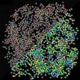 thumbnail image 1 of Seed beads - 2mm - 750pcs - Glow in dark - Luminous beads multicolour, 1 of 4