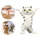 thumbnail image 5 of Bolígrafo de gato de baile, soporte para bolígrafo para gafas, decoración de estantería para el hogar, estatua de gatito animal, decoración de escrito Gris Baoblaze Escultura de estatua de gato, 5 of 7