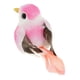 thumbnail image 4 of 6 Uds. de Plumas Artificiales para Pájaros, Accesorios de Espuma para Manualidades, 4 of 8