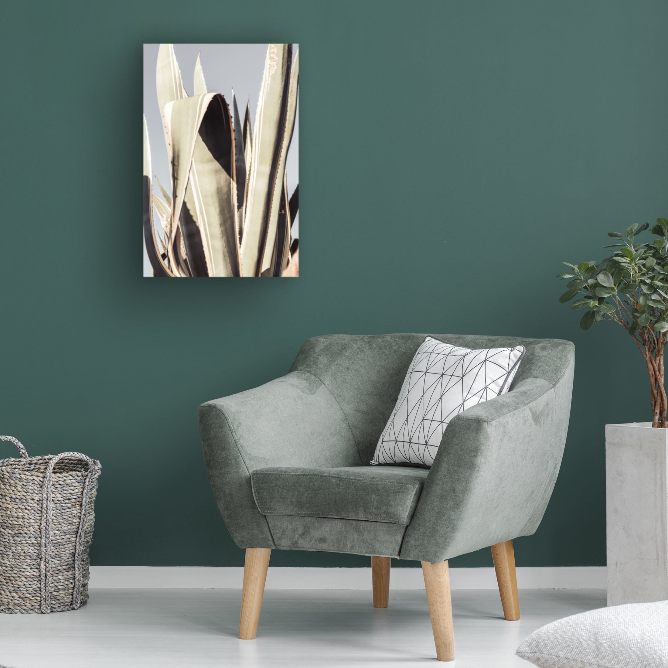 Trademark Fine Art Pictufy Studio Agave Canvas Wall Art