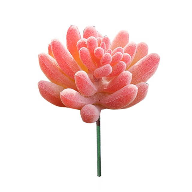 Coofit Artificial Succulent Lifelike Faux Succulent Plant Unpotted Succulent for Home