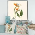 thumbnail image 3 of Designart 'Ancient Strelitzia Flowers' Traditional Framed Art Print, 3 of 4