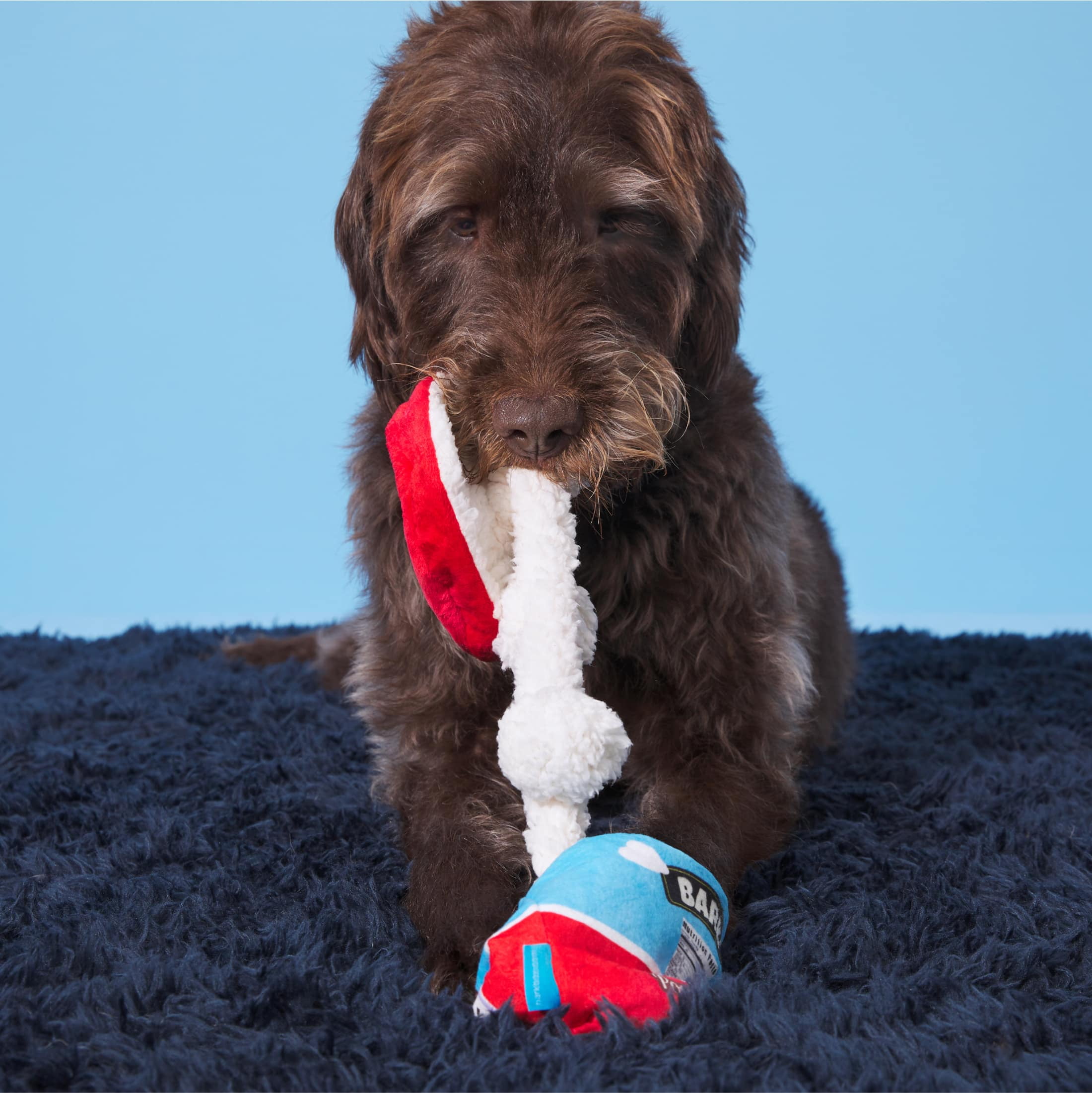 BARK Poopies and Cream Dog Toy, Plush Pint Design, Squeaky, All Sizes