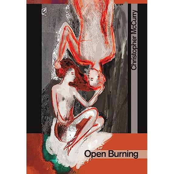 Pre-Owned Open Burning (Hardcover) 1936628554 9781936628551