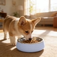 thumbnail image 4 of onlyliua 304 Stainless Steel Slow Feeder Pet Bowl Anti-Choke Non-Tip Raised Dog Cat Food Water Dish Dishwasher Safe Durable Rust-Resistant Design For Small To Medium Pets Slow Feeder Bowl, 4 of 6